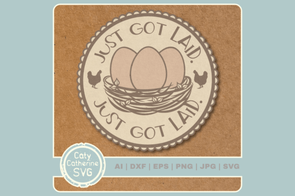 Just Got Laid Funny Hen Chicken Egg Review for Real Projects